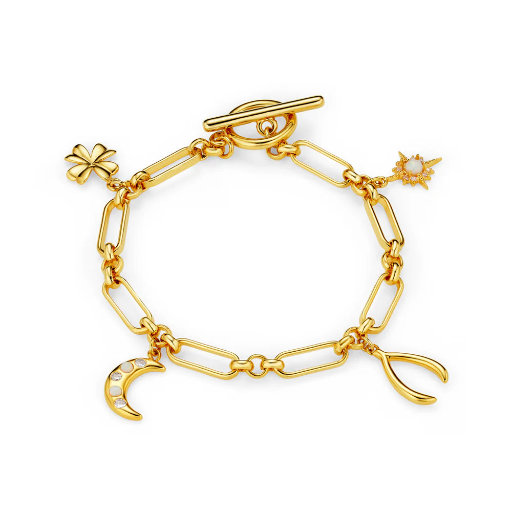 Catch some good luck with the Mixed Lucky Charm T-Bar Bracelet from ORELIA, with an mix of playful, luck-bringing charms! This bold piece is the perfect way to add a dash of glamour and positive energy to any outfit.