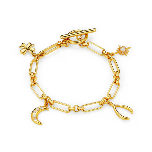 Catch some good luck with the Mixed Lucky Charm T-Bar Bracelet from ORELIA, with an mix of playful, luck-bringing charms! This bold piece is the perfect way to add a dash of glamour and positive energy to any outfit.